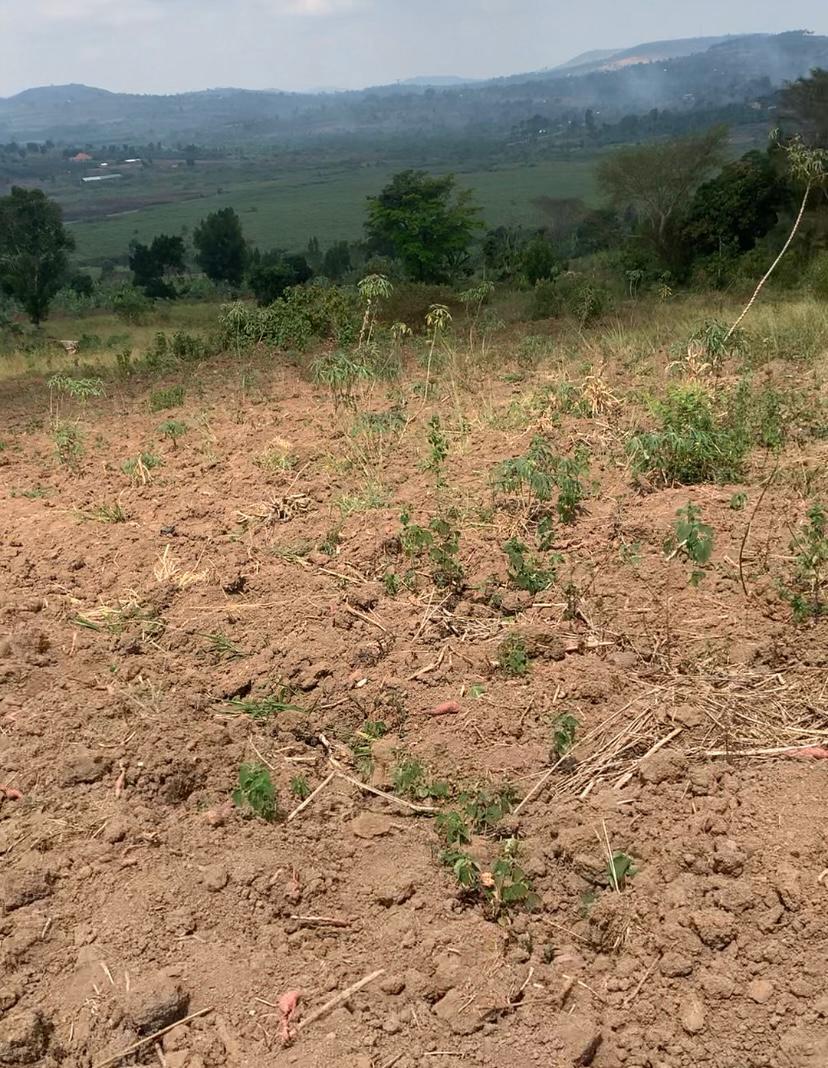 Kitende–Kitovu Estate