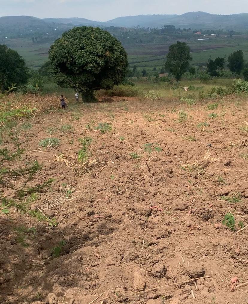 Kitende–Kitovu Estate